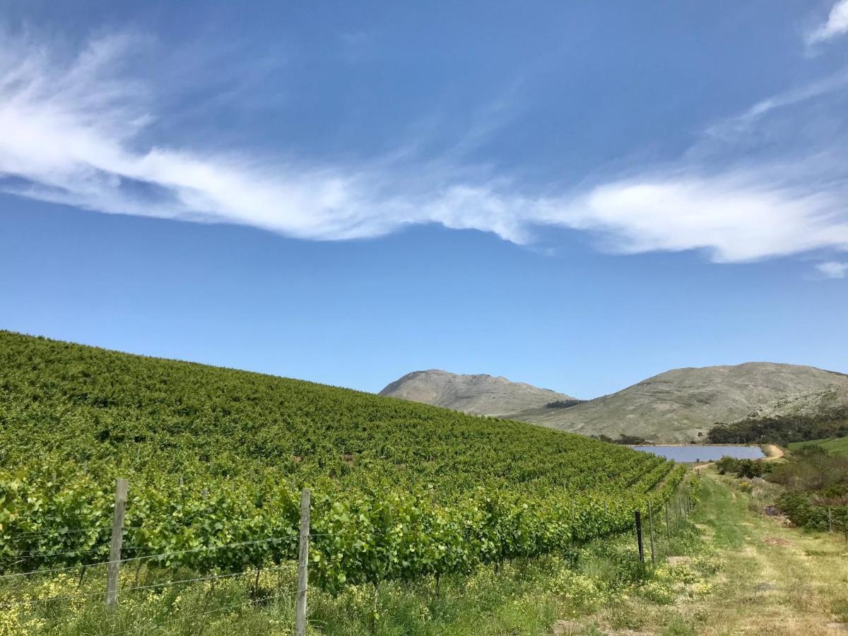 Kleine Vrede Farm Cottage Hermanus Εξωτερικό φωτογραφία