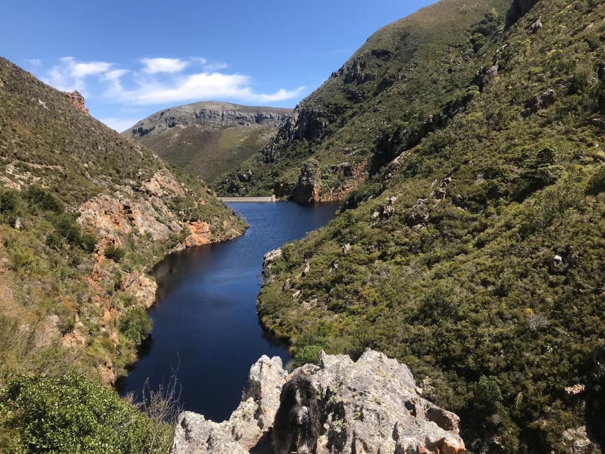 Kleine Vrede Farm Cottage Hermanus Εξωτερικό φωτογραφία