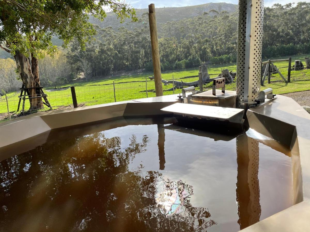 Kleine Vrede Farm Cottage Hermanus Εξωτερικό φωτογραφία