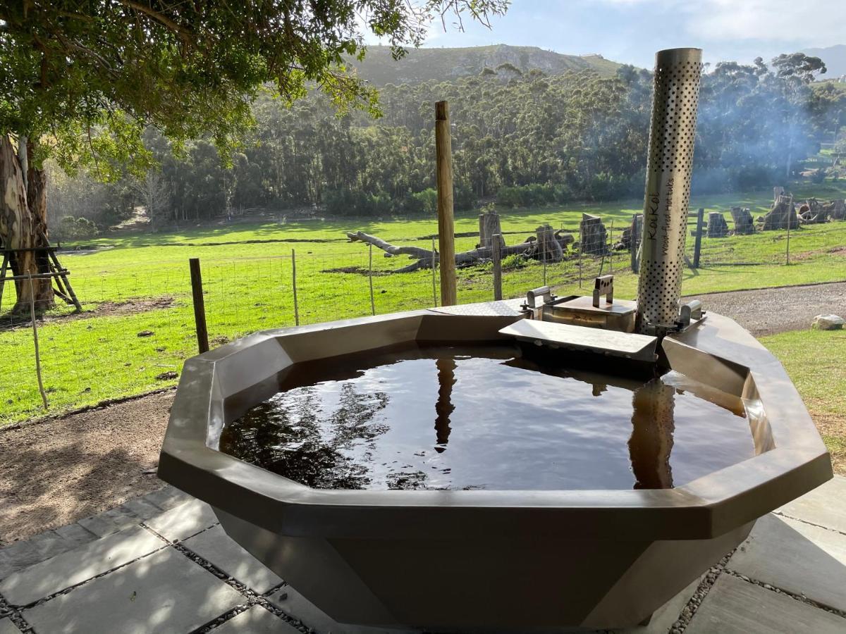 Kleine Vrede Farm Cottage Hermanus Εξωτερικό φωτογραφία