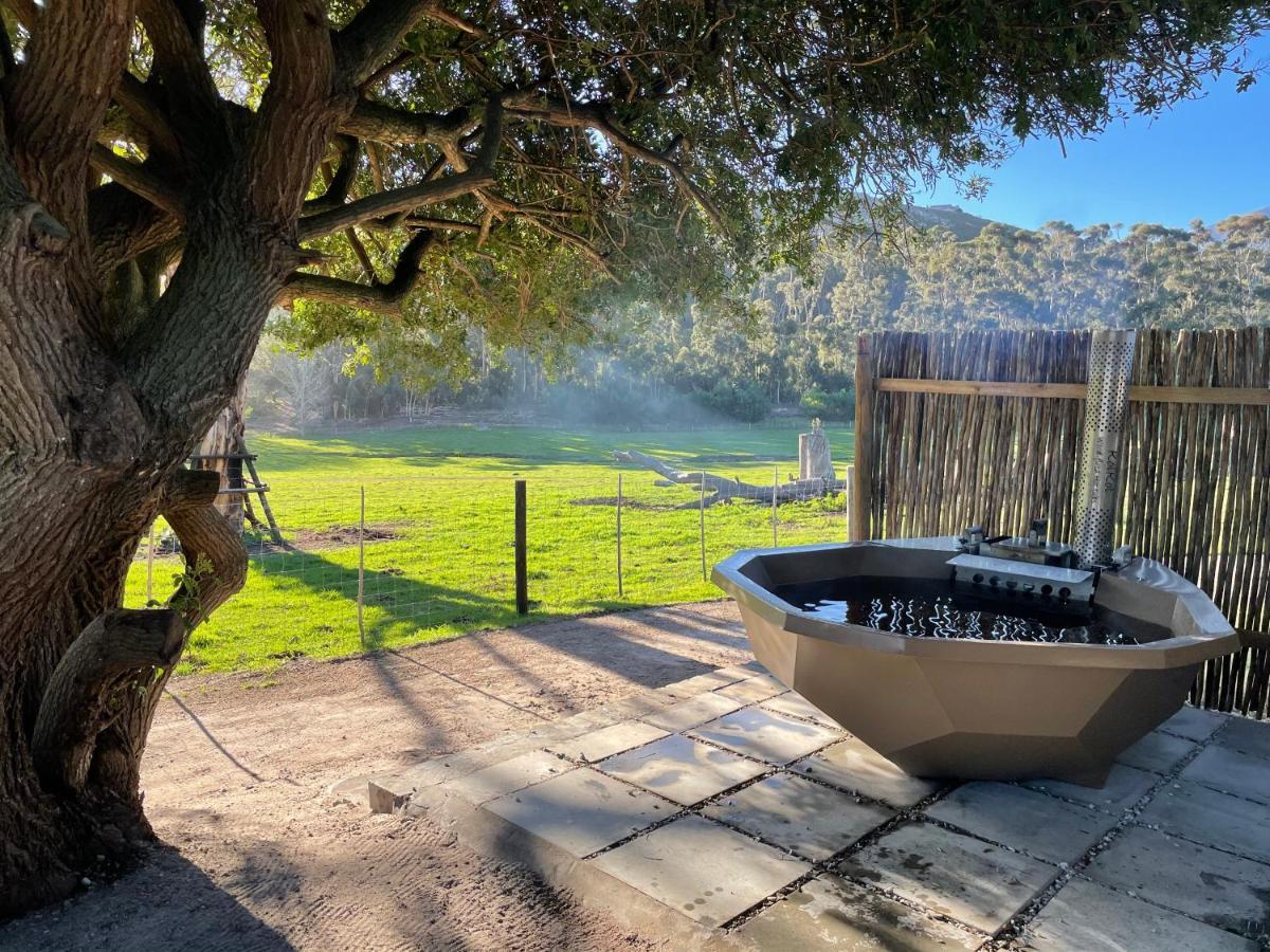 Kleine Vrede Farm Cottage Hermanus Εξωτερικό φωτογραφία