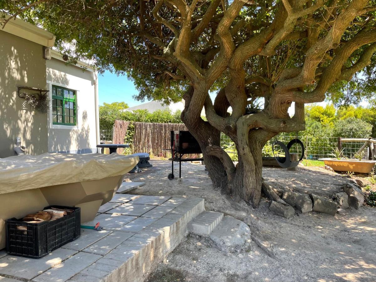 Kleine Vrede Farm Cottage Hermanus Εξωτερικό φωτογραφία